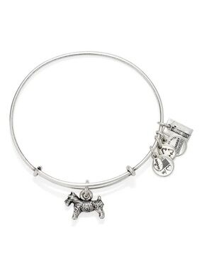 RARE! RETIRED! Alex and Ani Monopoly Dog Charm Bangle Bracelet - Silver